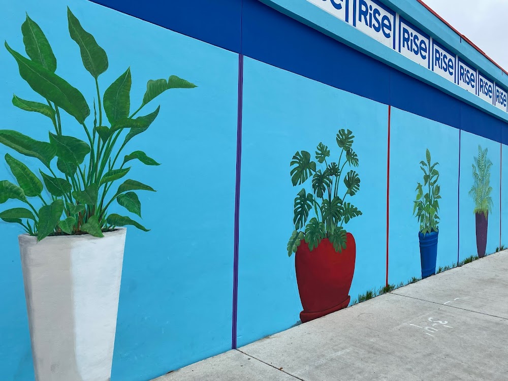 RISE Medical Marijuana Dispensary West Palm Beach